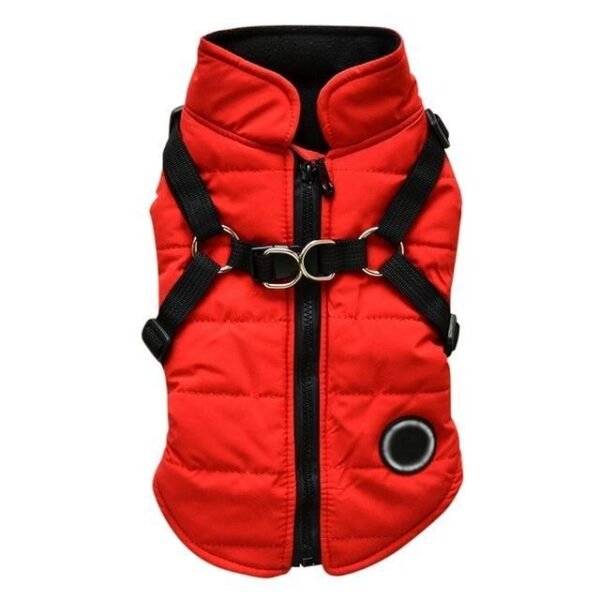 Dog zipper jacket - Image 5