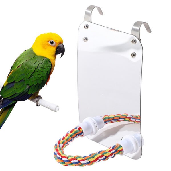 Parrot Toy Acrylic Bird With Mirror - Image 2
