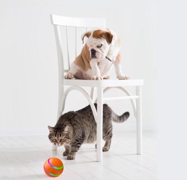 Pet New Dog Cat Wicked Ball Toy Intelligent Ball USB Cat Toys Self Rotating Ball Automatic Rotation Ball - Image 3