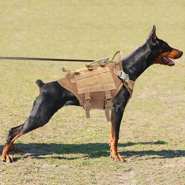 Malinois Large Dog Dog Hand Holding Rope Chest Vest Combat Clothes Dog Leash Dog Backpack Special Training Straps For Going Out - Image 9