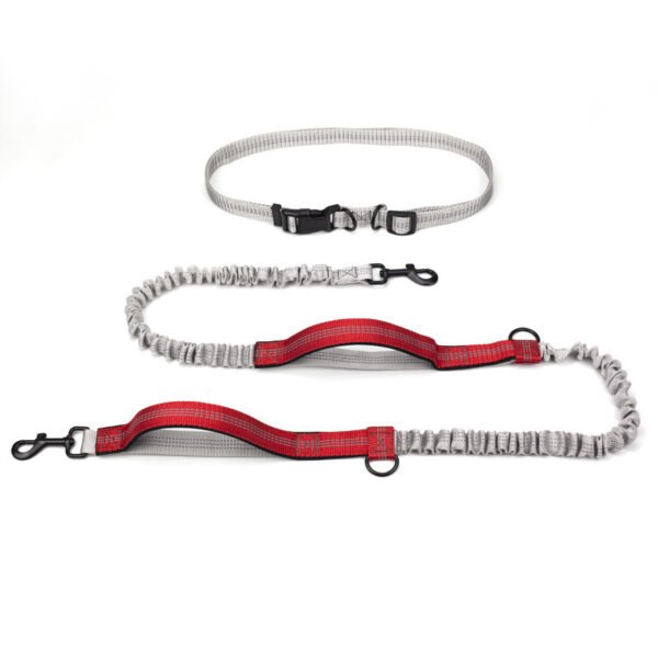 Pet Supplies Outdoor Running Dog Leash - Image 5