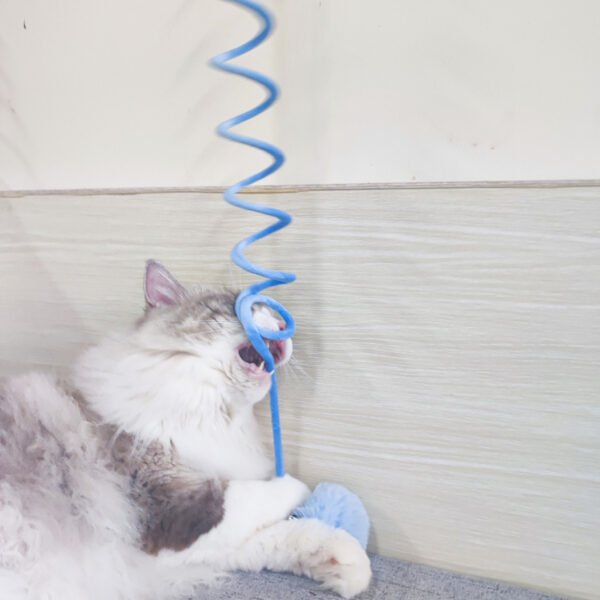 Cat Toy Self-Hi Sucker Spring Rabbit Hair Ball Interactive Play Pet Supplies Interactive Toys - Image 4