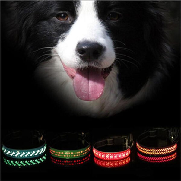 LED light collar pet collar - Image 3