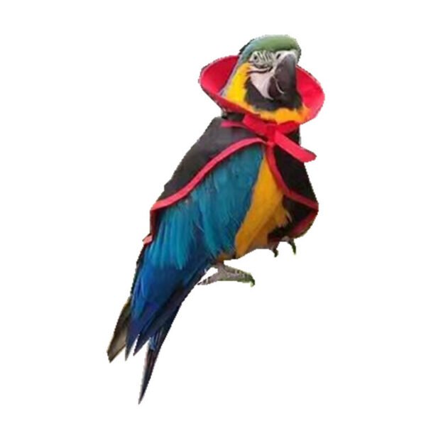 Halloween Warm  Pet Cloak - Image 2