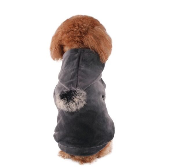 Hot dog clothes - Image 4