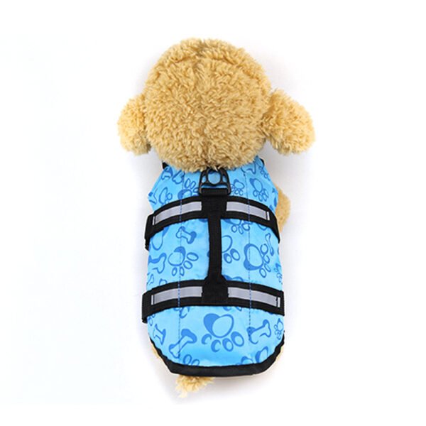 Large and small dogs - Image 2