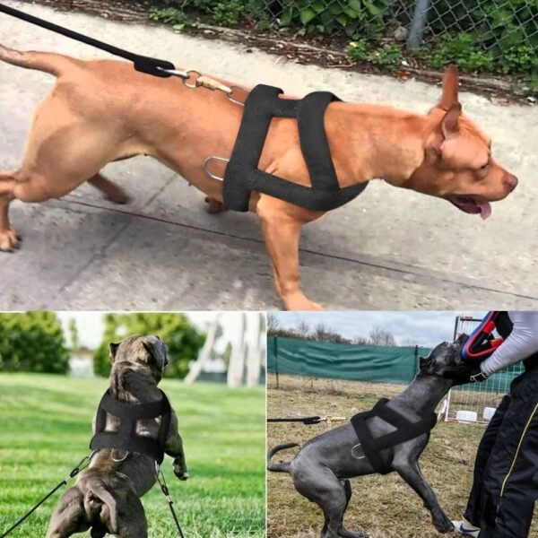 Dog Weight Pulling Harness Soft Padded Dogs Harnesses Pitbul - Image 6