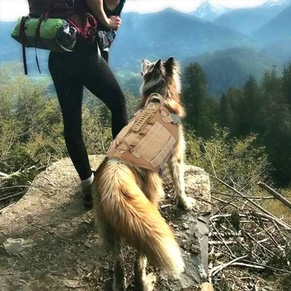 Malinois Large Dog Dog Hand Holding Rope Chest Vest Combat Clothes Dog Leash Dog Backpack Special Training Straps For Going Out - Image 7