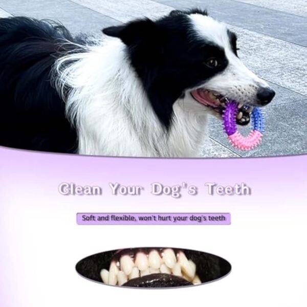 Dog Chew Toys Ring Dog Teething Toys Rubber Puppy Teething Toys Pet Toys For Small Medium Large Dogs - Image 4