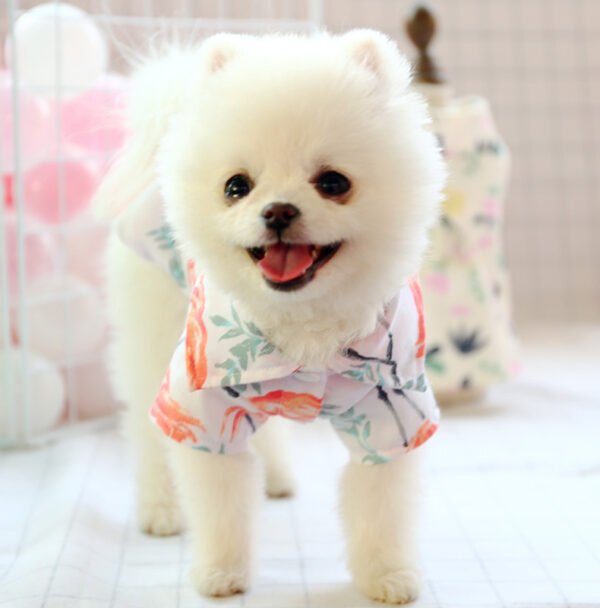 Small dog than the bear pomei thin summer cute shirt - Image 2