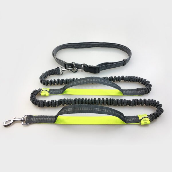 Amazon direct pet supplies multi-function running reflective pull dog leash double elastic dog leash traction - Image 5