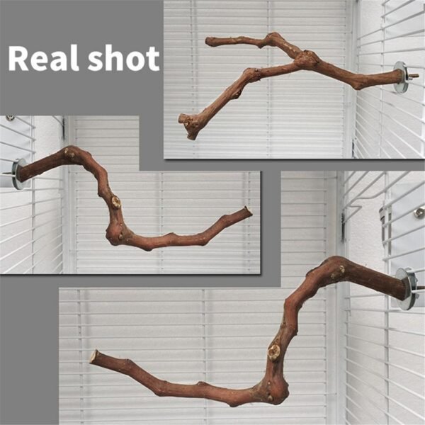 Bird Standing Stick Wild Grape Wood Grinding Claw Stick Perching Stick - Image 3