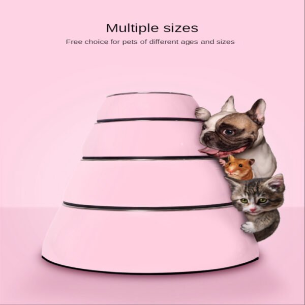 Dog Supplies Bowls Large Stainless Steel Food Bowls Pet Cat Bowls - Image 10