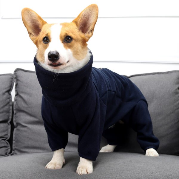 Dog's Snow Suit Is Windproof Warm And Cold Resistant - Image 2