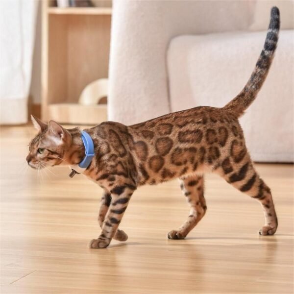 Pet Cat Toy Laser Collar - Image 3
