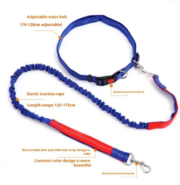 Fast selling new factory fitness belt, nylon dog rope sports dog running reflex traction rope - Image 3