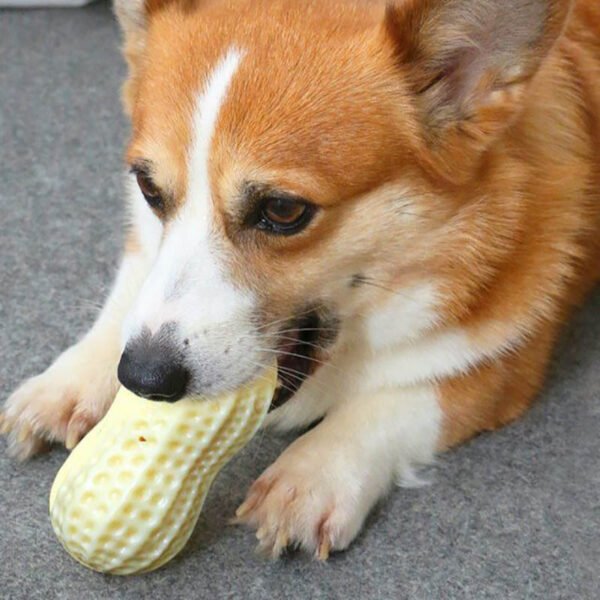 Funny Pet Dog Squeaky Toys For Small Middle Dogs Bite Resistant Puppy Cat Dogs Toys Pets Rubber Peanut Clean Tooth Chew Toy - Image 4