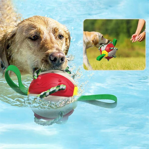 Interactive Dog Football Soccer Ball With Tabs Inflated Training Toy Outdoor Border Collie Balls Pet Products - Image 5