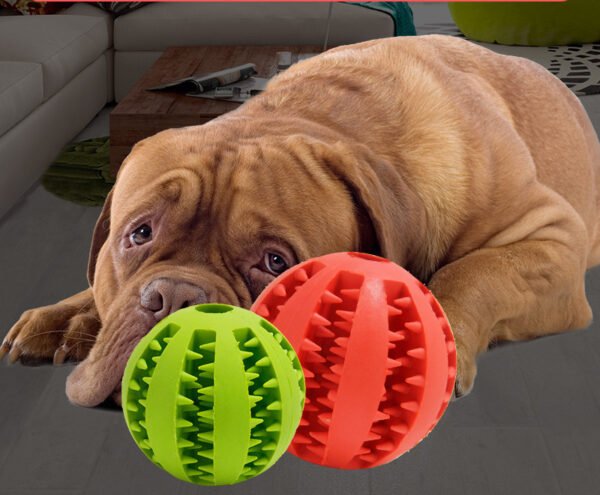 Pet Dog Toy Bite Resistant Molar Stick Puppy Ball - Image 2