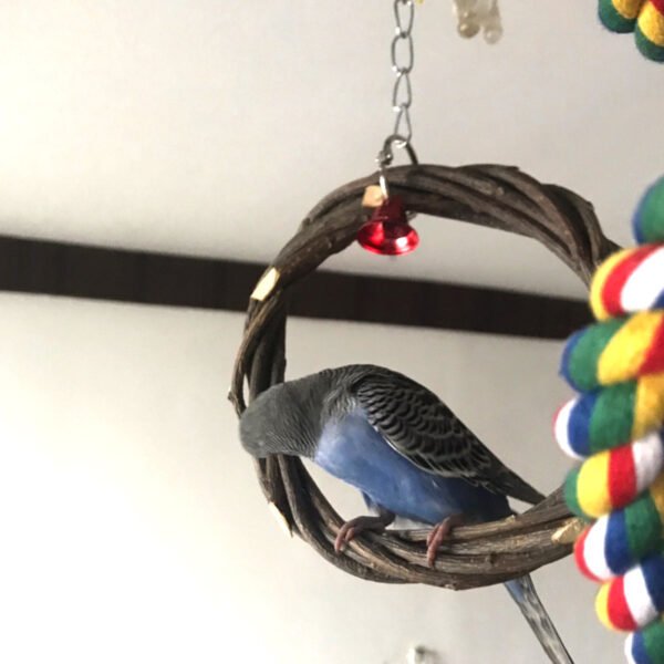 Bird Standing Frame Rattan Ring Chewing Toy Bird Cage - Image 6