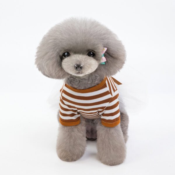 Bears Teddy Small Dog Pet Clothes - Image 5