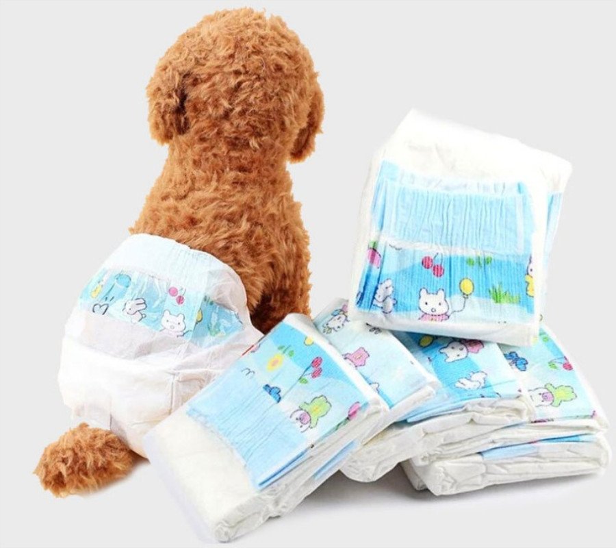 Diapers Pet Diapers Menstrual Pants Bitches 1 Diapers Pet Diapers Menstrual Pants Bitches