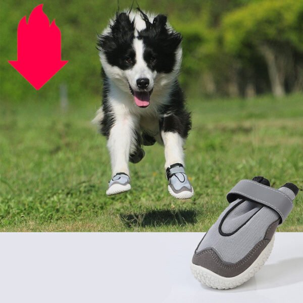 Pet Shoes Wear-resistant And Breathable Big Dog - Image 5
