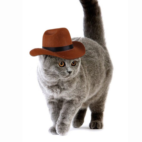 Pet Dog Cowboy Hat Headgear Cat Funny Headwear Outdoor Adjustable Dog Caps Performance Photo Props Cosplay Accessories - Image 2