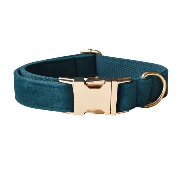 Dog Leash Pet Collar With Alloy Carabiner - Image 5