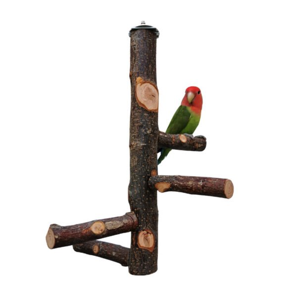 Parrot Bird Wood Stand Pole Toy - Image 4