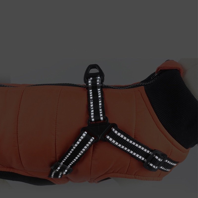 Pet Autumn And Winter New Dog Clothes Cotton-padded Clothes Warm Pet Thickened Chest And Back Integrated 8 Pet Autumn And Winter New Dog Clothes Cotton-padded Clothes Warm Pet Thickened Chest And Back Integrated - Image 8