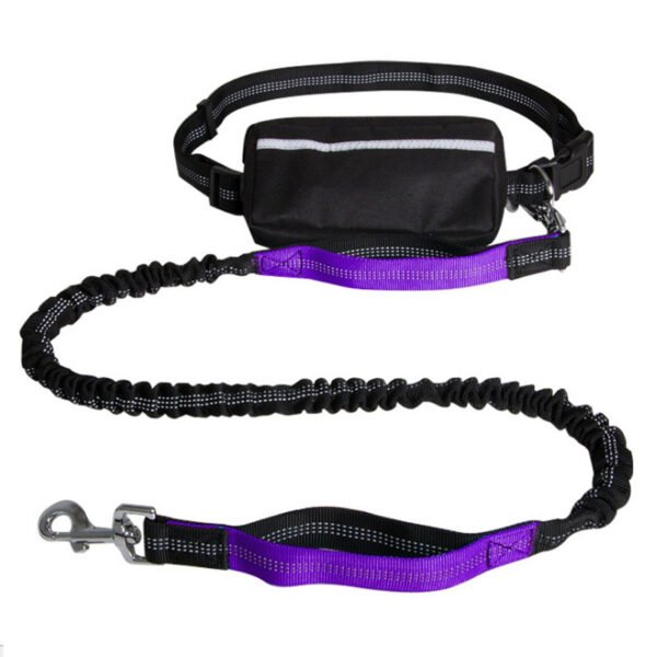 Nylon Reflective Retractable Running Hands Free Dog Leash - Image 6