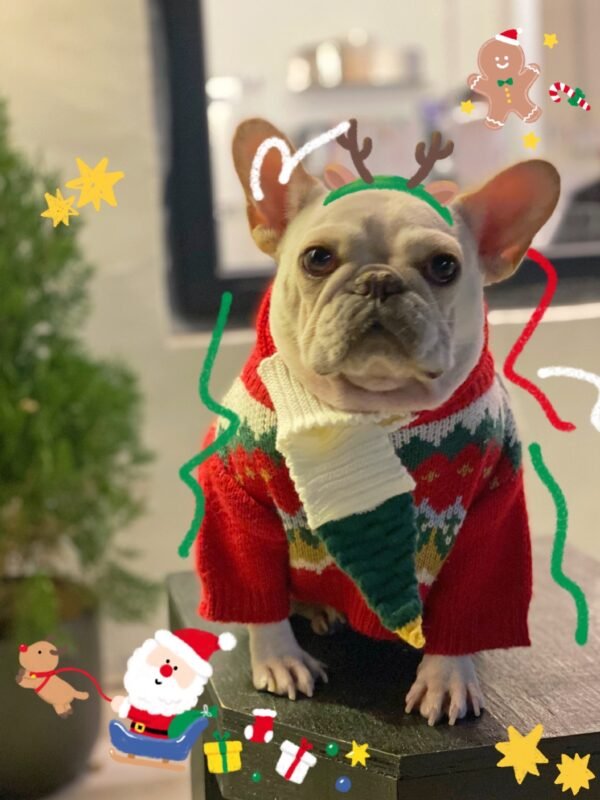 Pet Christmas Sweater Dog Cat Fight - Image 5