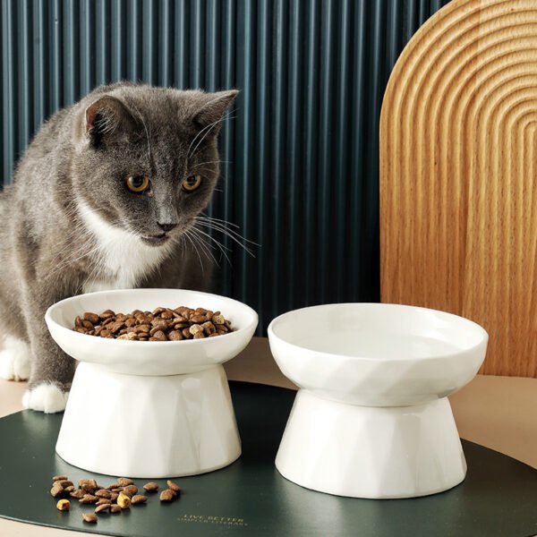 Cat Bowl Protects Spine