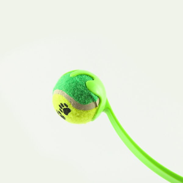 Outdoor Pet Throwing Cue Dog Training Toy - Image 2