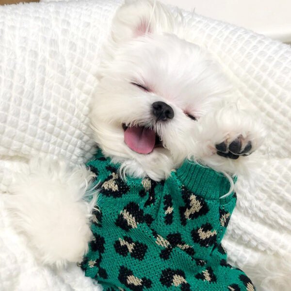 Knitted Dog Leopard-print Sweater Small Dog Pet Dog Cat Clothes - Image 2