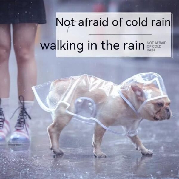 Pet Raincoat Dog Small Dog - Image 2