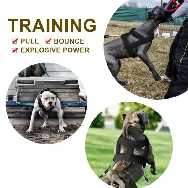 Dog Weight Pulling Harness Soft Padded Dogs Harnesses Pitbul - Image 8