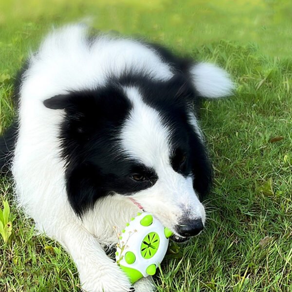 Pet Dog Toy Interactive TPR Leaking Food Toys For Small Large Dogs Cat Chewing Toys Pet Tooth Cleaning Indestructible Puppy Toys - Image 4