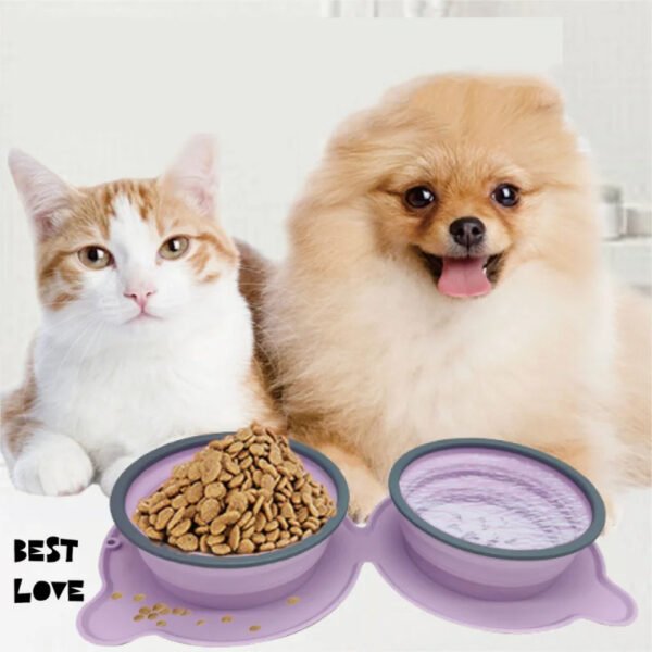 Portable Silicone Double Pet Food Bowls Foldable Non-Slip Travel Anti-Choking Feeding Bowl Outdoor