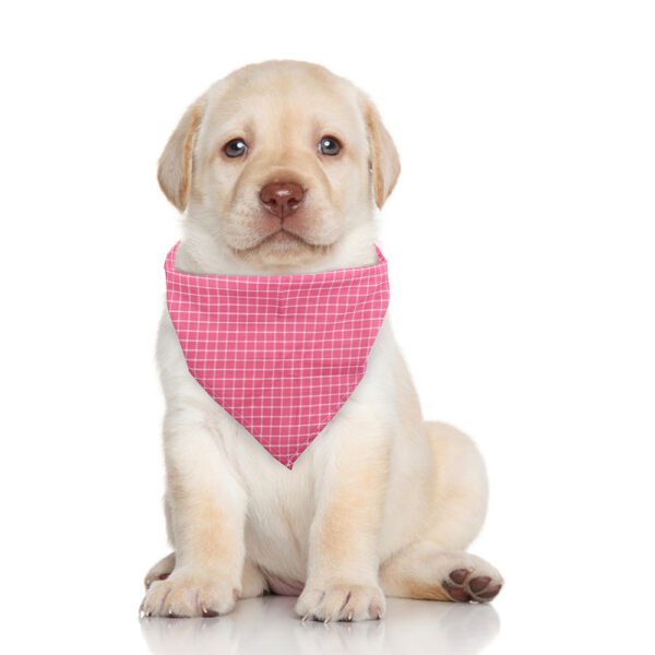 Pet Dog And Cat Plaid Cotton Triangle Scarf - Image 8