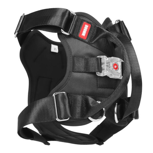 LED Luminous Chest Strap Explosion Proof - Image 4