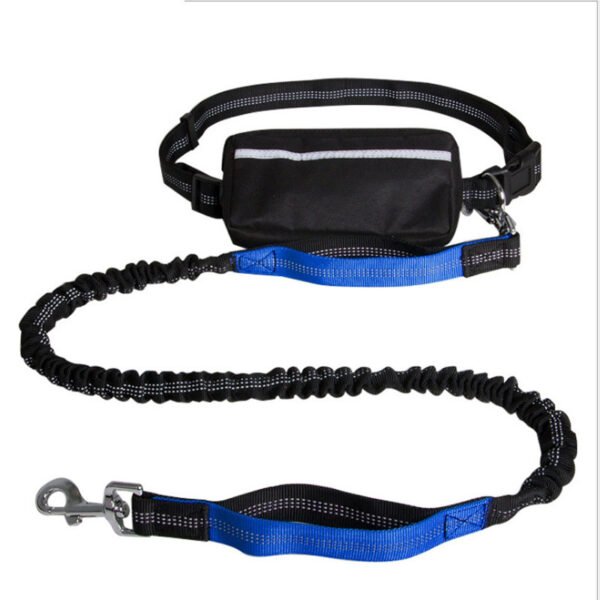 Nylon Reflective Retractable Running Hands Free Dog Leash - Image 3