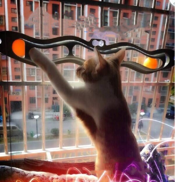 Windowsill Pets Toy Cat Track Ball Pet Products - Image 3