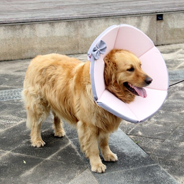 Pet Supplies Dog Sick Care Collar - Image 4