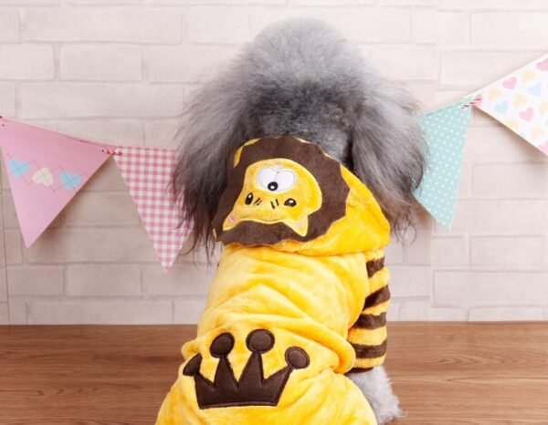 Autumn And Winter Transformed Into Dog Pet Costumes - Image 6
