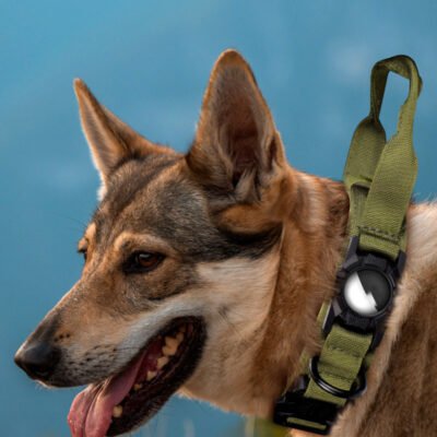 AirTag Positioner Protective Dog Collar
