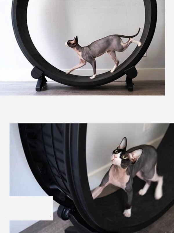 Pet Cat Running Wheel Fitness Toys - Image 4