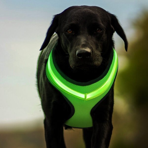 LED Luminous Dog Harness Led USB Charging Dog Chest Strap Vest Pet Safety Reflective Harness Pet Vest For Puppy Large Dog Pet Products - Image 3