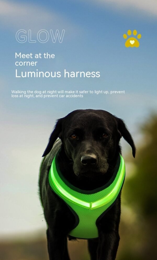 LED Luminous Dog Harness Led USB Charging Dog Chest Strap Vest Pet Safety Reflective Harness Pet Vest For Puppy Large Dog Pet Products - Image 10